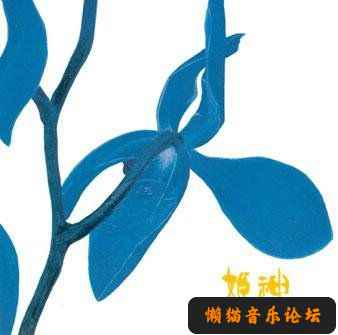 k1210wyqzlw.jpg