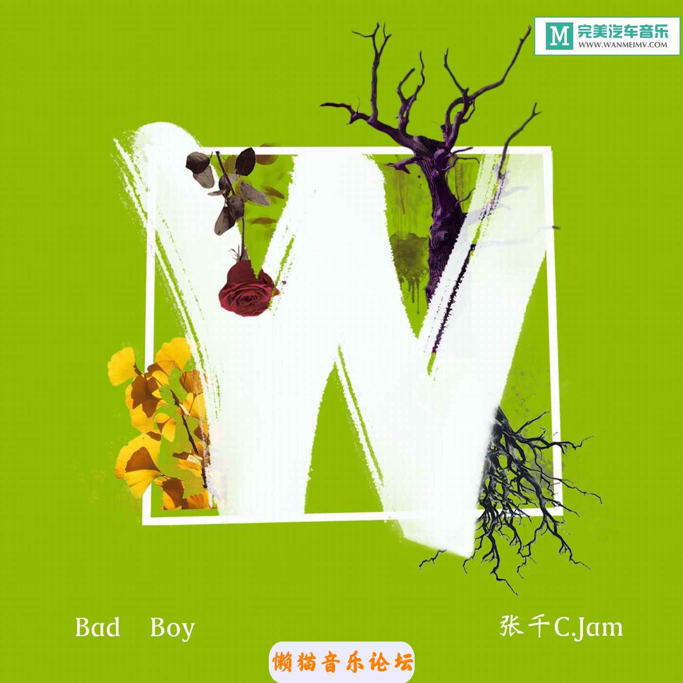 mymyp1npchy.jpg