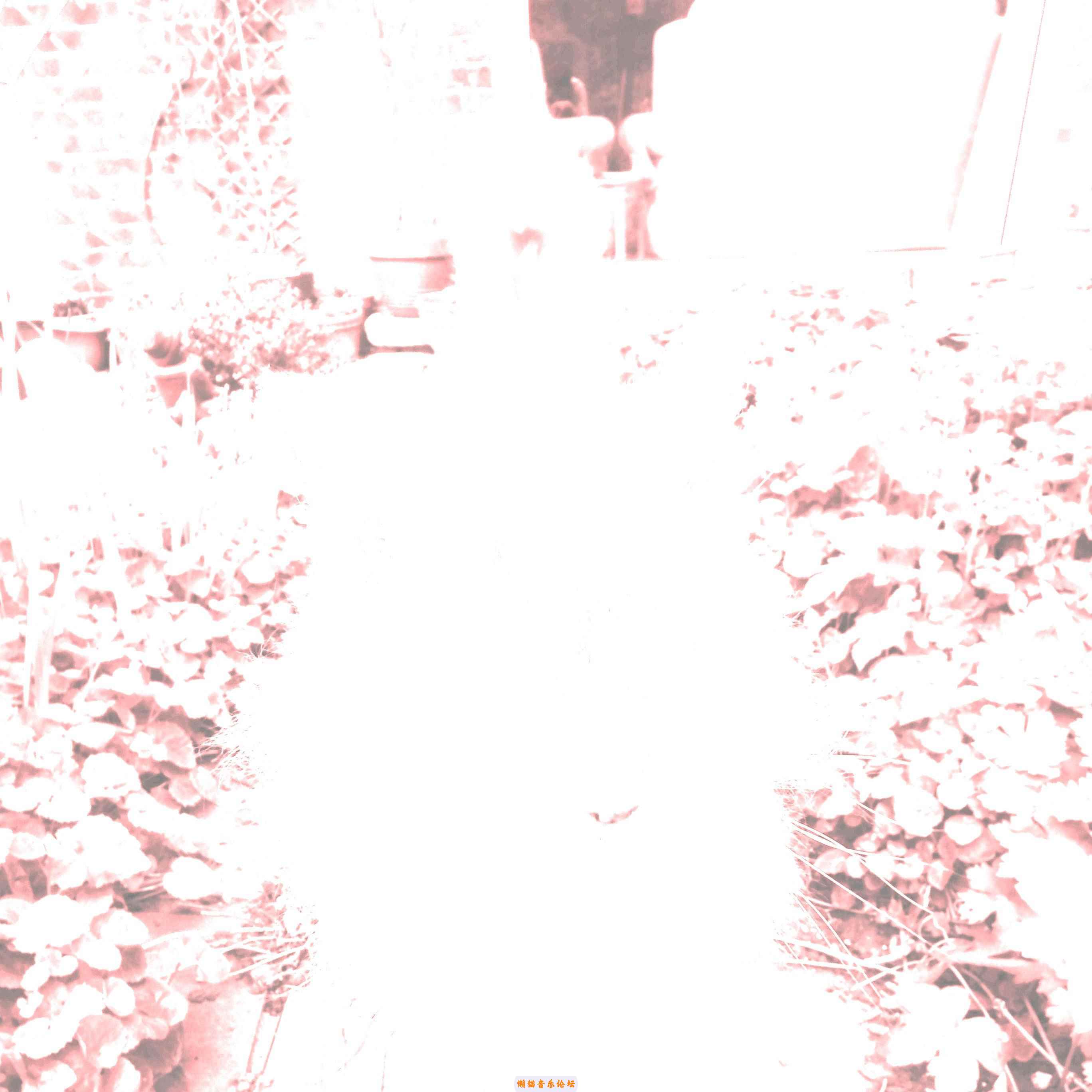 qkdpk31duqh.jpg