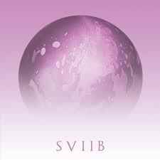 5iv14signi3.jpg