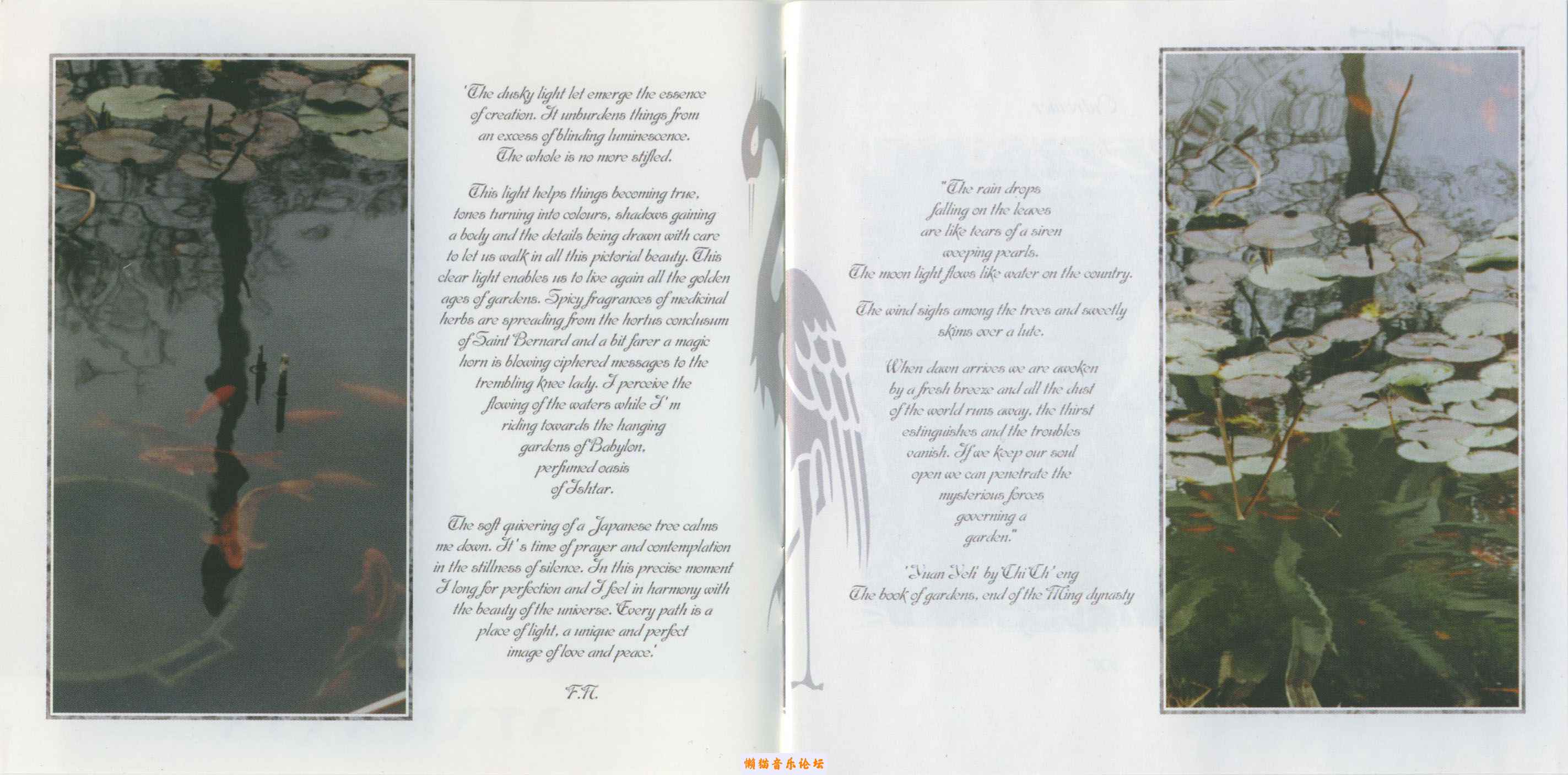 p2aua05yq4e.jpg