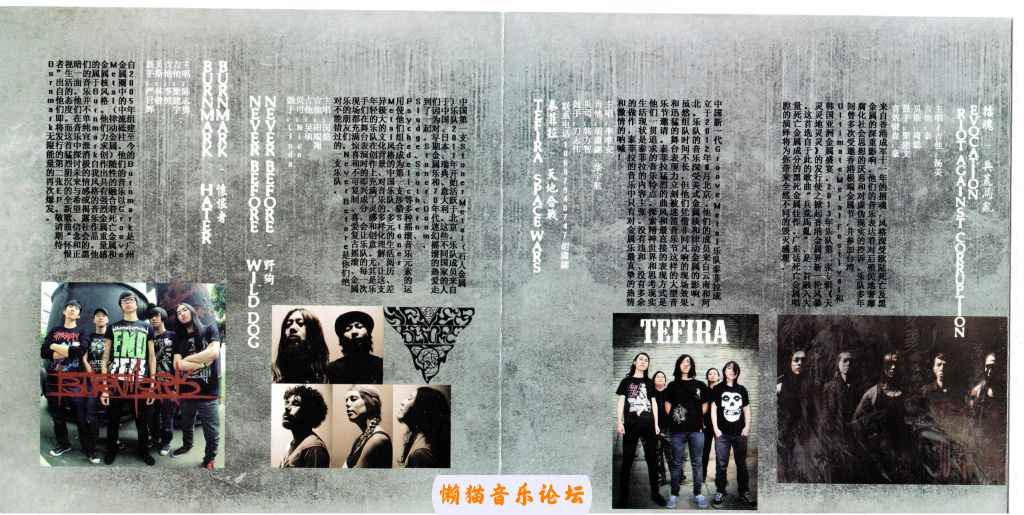 n1b53hgwgka.jpg