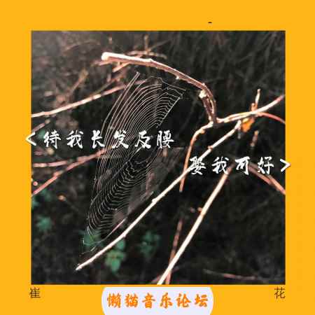 r4yhko1suwk.jpg