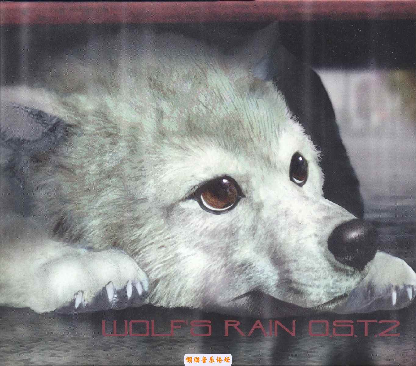 d4evzaykuv1.jpg