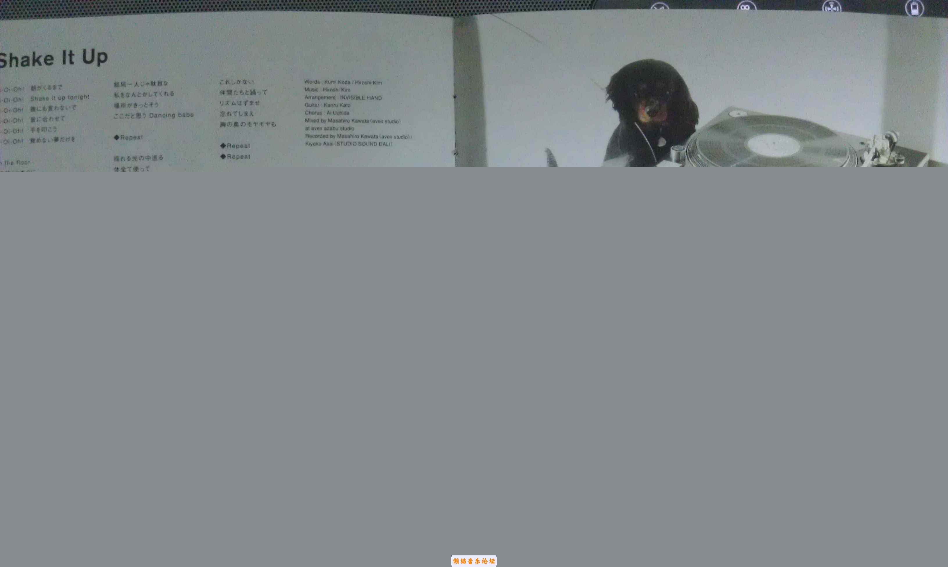 xxgcy3np04v.jpg