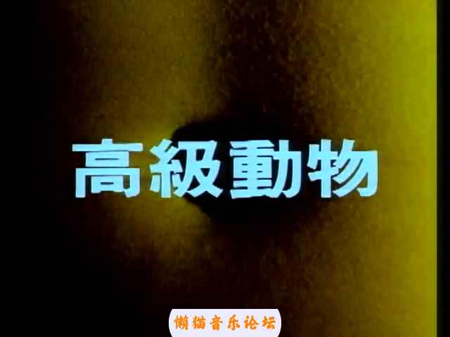 ocn14hy2c3i.jpg