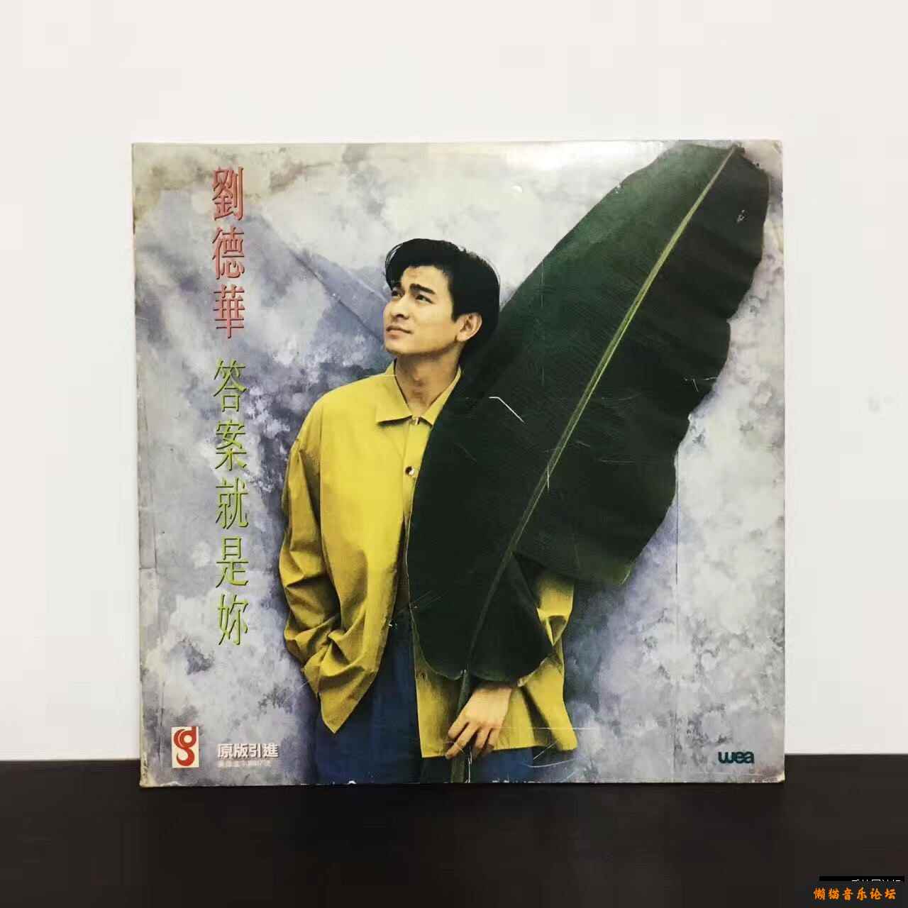 e5xyd51bbyx.jpg