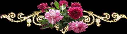hqf2g1hct53.jpg