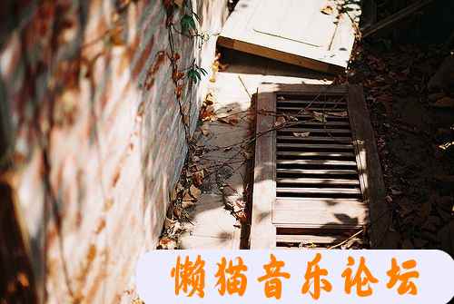 1jko5lxhoqi.jpg