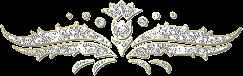 tsv0bvu5513.jpg