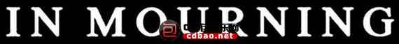 rshjr5cq55e.jpg