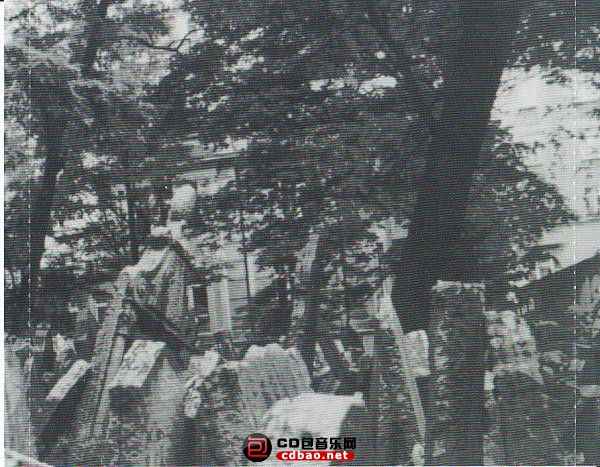 cyq1k2busot.jpg
