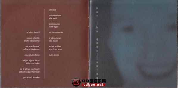 j5z3bapdwwt.jpg