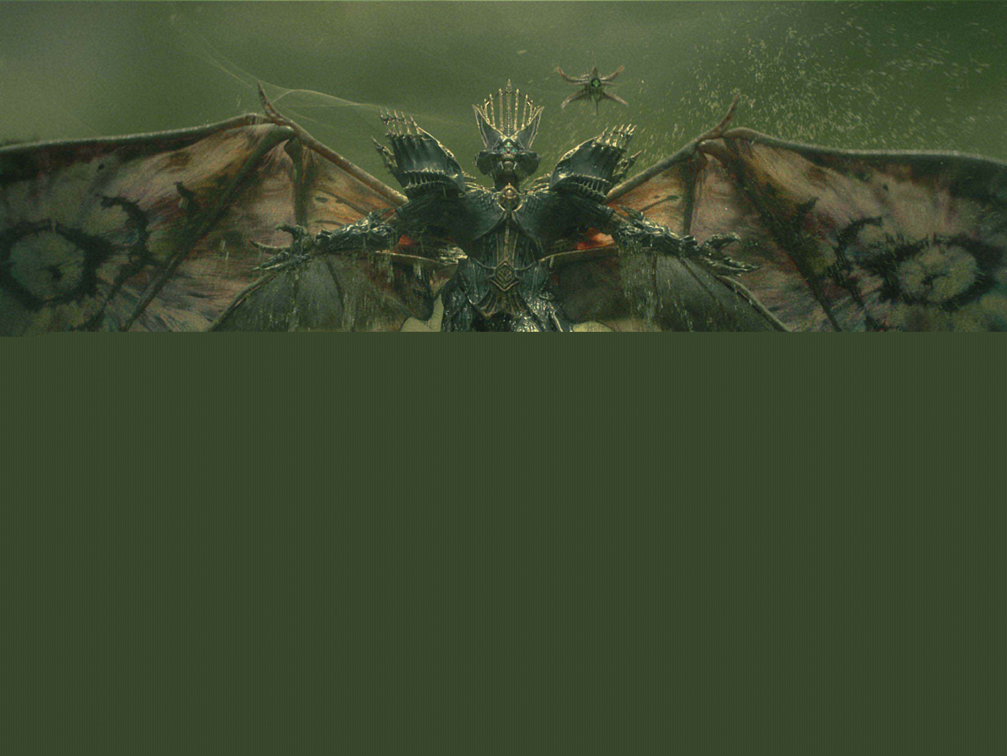 x41zdedcq3d.jpg