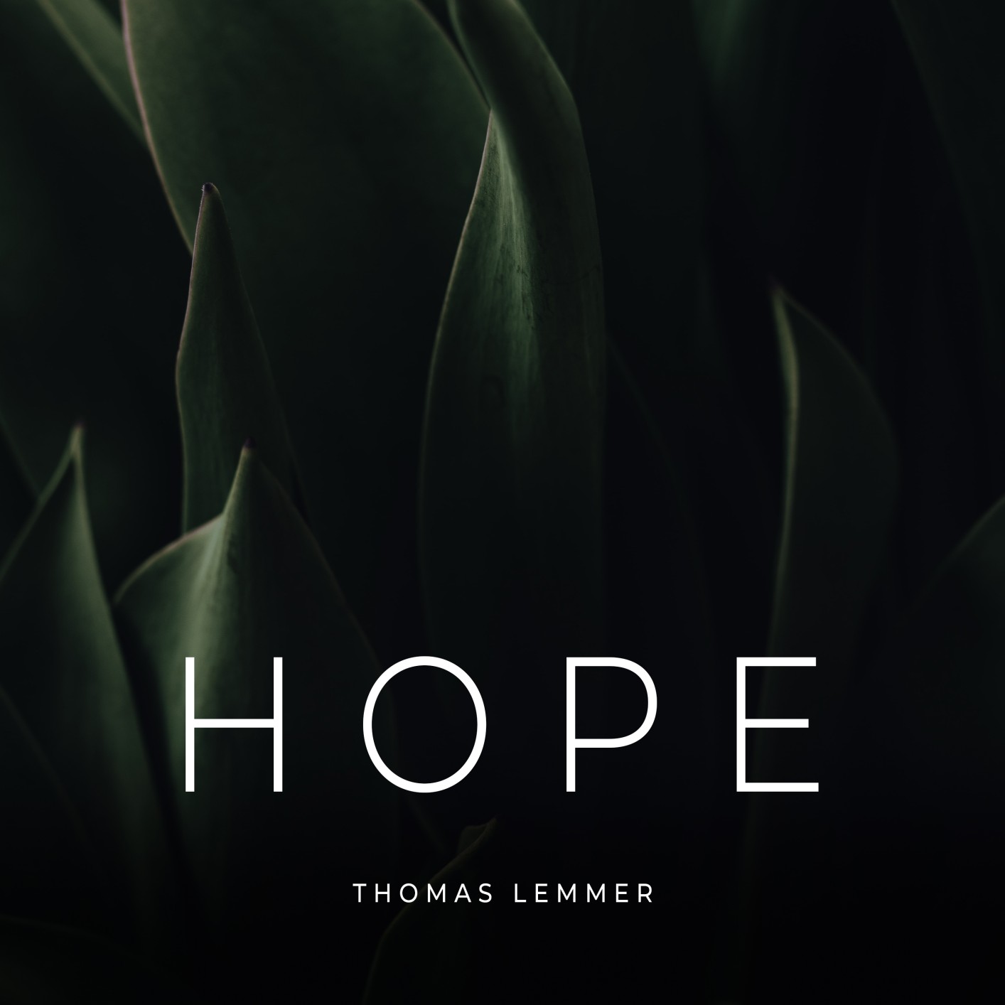 (流行)放松，氛围，慢节奏  Thomas Lemmer - Hope (2022) Hi-Res 流行,放松,氛围,慢节奏,节奏, 793