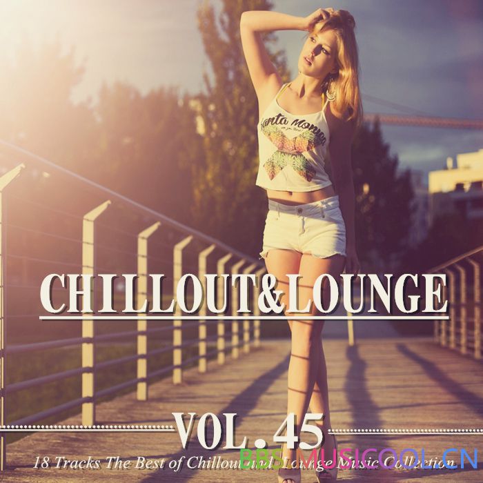 (新世纪音乐)驰放沙发典藏精选系列 - VA - Chillout Lounge Collection Vol. 45(2014)【320K/MP3】 新世纪音乐,新世纪,系列,精选,沙发, 4464