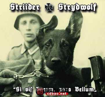 bjwmpsyxbt0.jpg